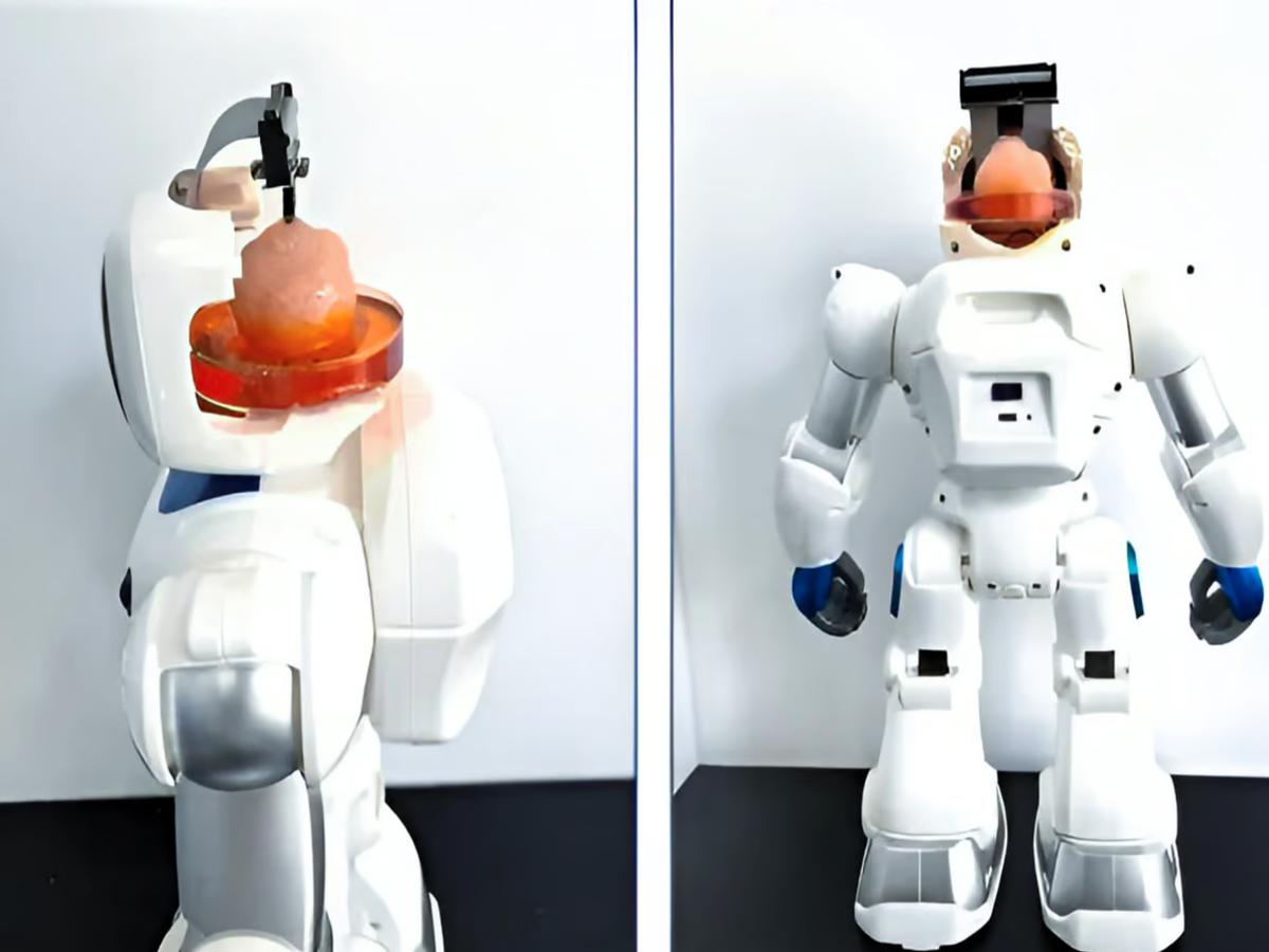 Robot with human brain tissue learns how to use arms | The Independent